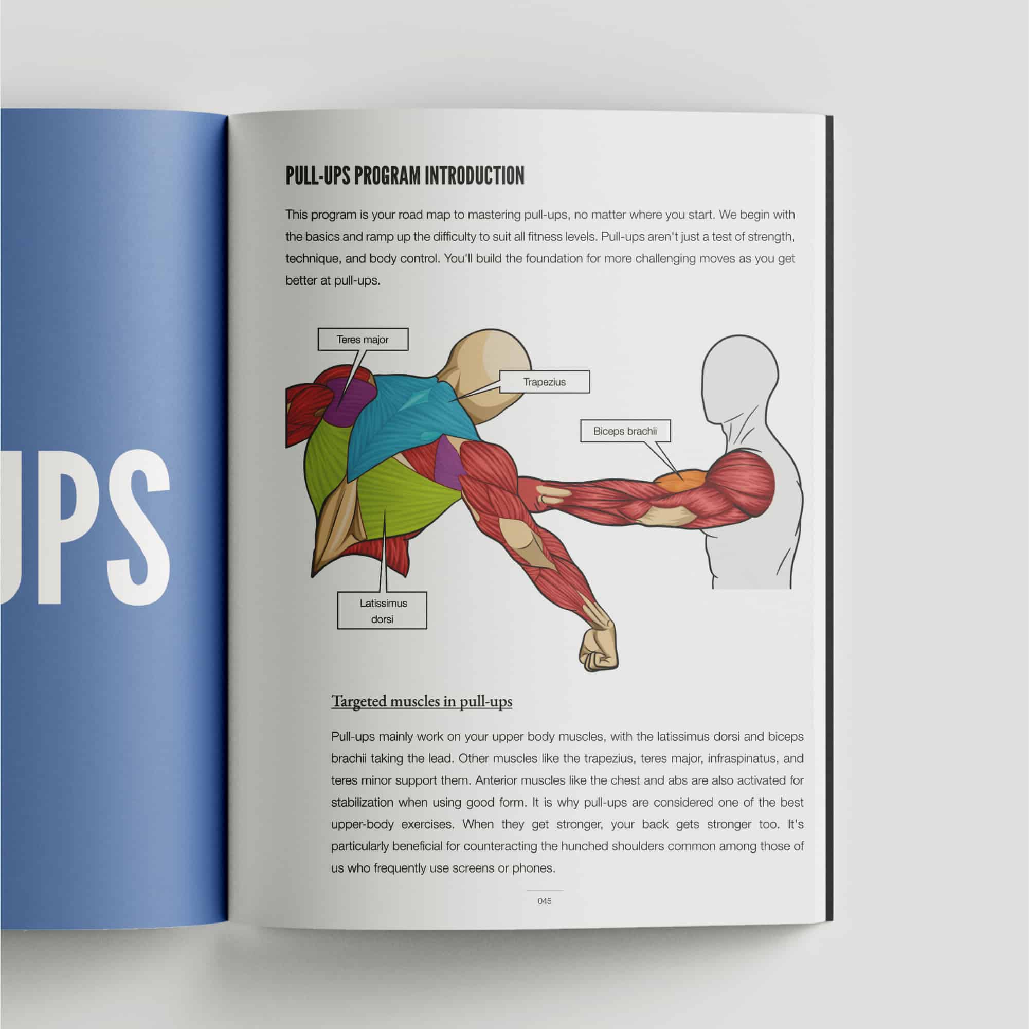 Calisthenics Playbook For Push Pull Squat (Physical Book) – Gravgear SG